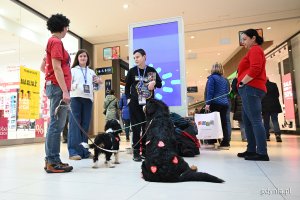 Wolontariusze kwestujący na rzecz WOŚP w Centrum Riviera