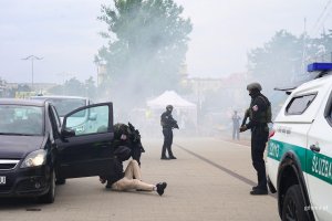 Pokazy