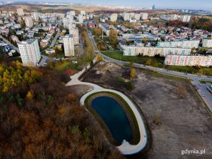 Zbiornik retencyjny na Witominie widoczny z lotu ptaka. Po lewej stronie widać las, w tle widoczne jest osiedle oraz ulica. // fot. Marcin Mielewski