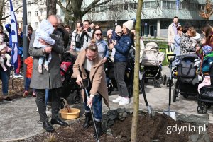 Na zdjęciu Michał Guć, wiceprezydent Gdyni wraz z mieszkanką Gdyni podczas sadzenia (fot. Magdalena Starnawska)