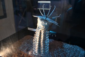 Wystawa "Tajemnice Głębin" w Centrum Nauki Experyment