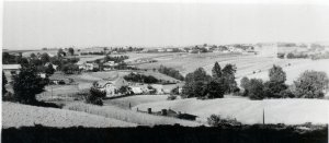 Widok na ulicę Orną i budynek szkoły zza Obwodnicy Trójmiasta, 1962 r.