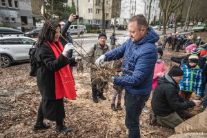 Nasadzenia drzew przy ul. Witomińskiej, fot. Kamil Złoch