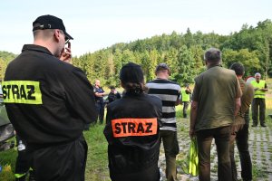 ludzie chodzą po lesie