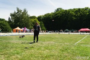 „Latające psy” w parku w Kolibkach - dzień pierwszy (sobota), fot. Kamil Złoch