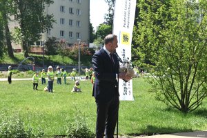 Mężczyzna w ciemny garniturze, w ręce trzyma symboliczne drzewko