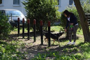 Otwarcie wybiegu na ul. Tucholskiej (Oksywie/Obłuże)