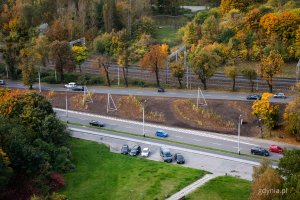 Nowe nasadzenia przy alei Zwycięstwa w Gdyni (fot. Kamil Złoch)