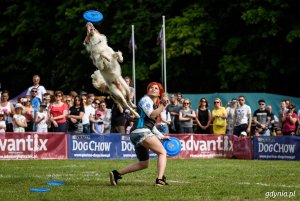 Zawody Latających Psów 2017 - Park Kolibki, Gdynia // fot.Dawid Linkowski