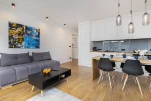 Apartament Benisławskiego 8/16, widok na salon z aneksem kuchennym