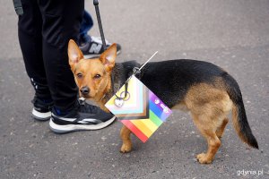 Uczestnicy przemarszu w ramach X Trójmiejskiego Marszu Równości ulicami Gdańska (fot. Mirosław Pieślak)