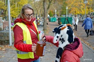 Radna miasta Agnieszka Tokarska podczas kwesty na rzecz gdyńskiego hospicjum