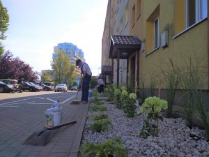 Ogródek przy ul. Widnej 2 // mat. Laboratorium Innowacji Społecznych