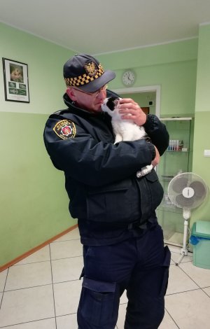 Ratujemy koty, zdj. z akcji gdyńskiej Straży Miejskiej