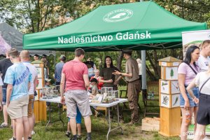 Stoisko Nadleśnictwa Gdańsk na festynie międzypokoleniowym w parku Kilońskim, a na nim m.in. szklane pojemniki z roślinami // fot. Karol Stańczak