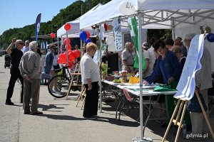 Stoiska gdyńskich organizacji pozarządowych ustawione wzdłuż bulwaru Nadmorskiego w ramach Gdyńskiego Pikniku Pozarządowego 