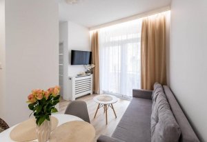 Jeden z apartament&oacute;w ADB, widok na salon