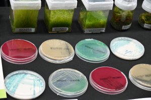 Swoje stanowisko w Bio Laboratorium miało r&oacute;wnież PPNT Gdynia