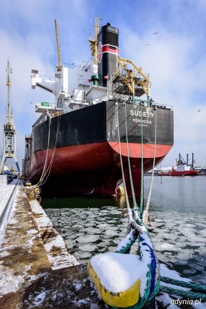Gdyński port od kuchni // fot. Dawid Linkowski
