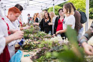 Cztery Stany Świadomości – Cudawianki 2018 // fot. Karol Stańczak