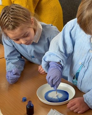 Szkolny Festiwal Nauki w Gdyni! Na zdjęciu prezentacje w SP 21 (fot. SP 21)    