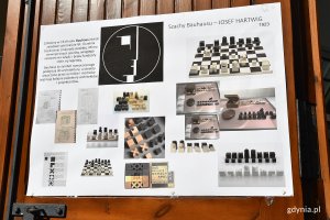 V Święto Hal Targowych / fot. Michał Puszczewicz
