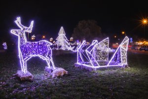 Gdynia rozbłysła na Święta tysiącami światełek // fot.Karol Stańczak