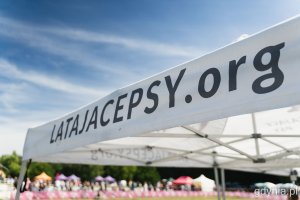 „Latające psy” w parku w Kolibkach - dzień pierwszy (sobota), fot. Kamil Złoch