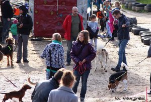 Psie fikołki - festyn edukacyjny "Pies w wielkim mieście" 7.10.2012