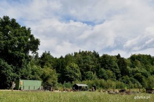 "Gdyńskie korzenie" powstały w dzielnicy Chwarzno-Wiczlino. // fot. Weronika Rozbicka