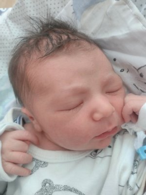 Dariusz, 55cm, 3640g, 22.05.23