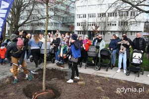 Gdynianie zaangażowali się w sadzenie Drzewka Życia (fot. Magdalena Starnawska)