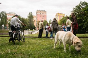 Spacer badawczy w parku Centralnym, fot. Aleksander Trafas