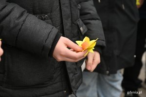 Ręka z żonkilem pamięci