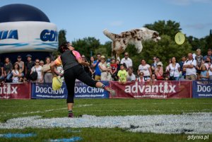 Zawody Latających Psów 2017 - Park Kolibki, Gdynia // fot.Dawid Linkowski