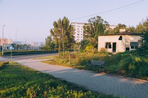 Znaleźć bezpieczny dom poza Wzgórzem Orlicz-Dreszera  fot. mat. prasowe LIS