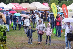 Piknik i targi „Dary Ziemi” w Gdyni // fot. Przemek Świderski