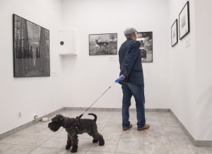 Mężczyzna z psem na wystawie „Dop Shoots” 