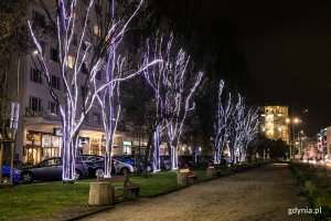 Iluminacje świąteczne na skwerze Kościuszki // fot. Karol Stańczak