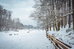 Ciąg pieszy pomiędzy Polanką Redłowską a Płytą Redłowską, na fotografii zimowy krajobraz trasy z widokiem na Polankę Redłowską