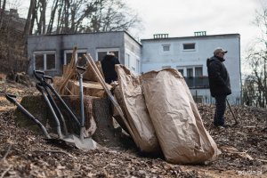 Nasadzenia drzew przy ul. Witomińskiej, fot. Kamil Złoch