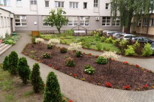 Ogród społeczny na Grabówku // fot. Aleksander Trafas, Laboratorium Innowacji Społecznych