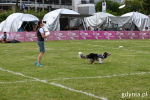 Właścicielka rzuca psu frisbee