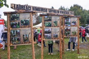 Prezentacja zwycięskich aranżacji w konkursie "Gdynia w kwiatach" // fot. Przemek Świderski