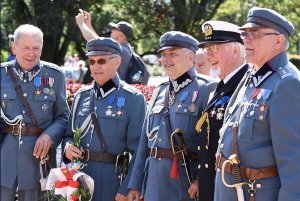 Obchody Święta Wojska Polskiego w Gdyni   / fot. M. Puszczewicz