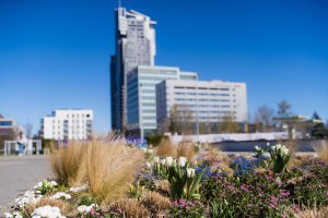 (fot. Paweł Budziński)