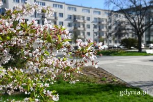 Park Centralny (fot. Magdalena Starnawska)