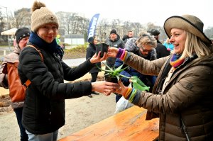 Akcja wymiany roślin cieszyła się dużym powodzeniem. Fot. Zygmunt Gołąb 