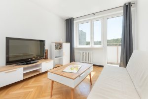 Salon w mieszkaniu Wyspiańskiego 23/52