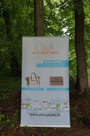 Gra terenowa - Odkryj nowe oblicze „Ciapkowa"